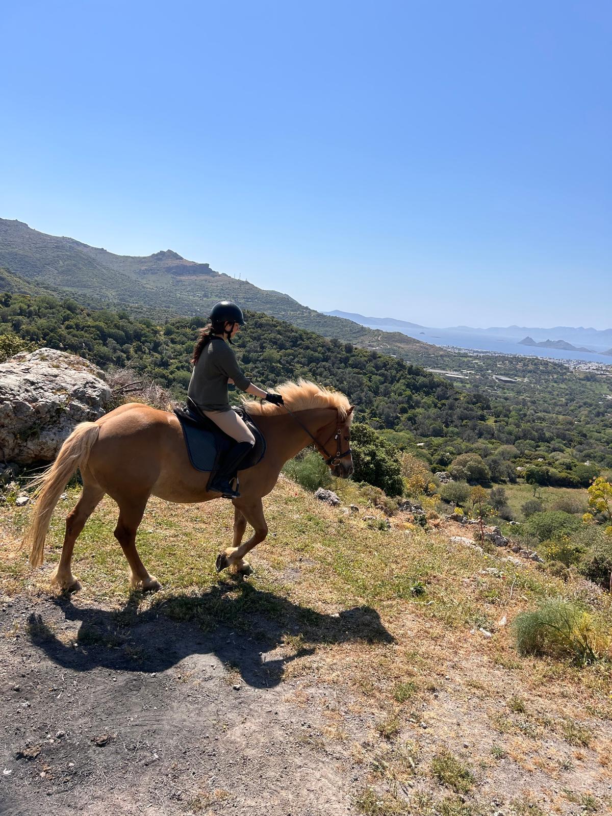 Bodrum Atlı Spor Klubü