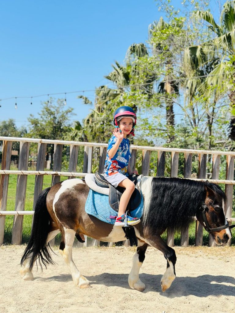 Bodrum Atlı Spor Klubü